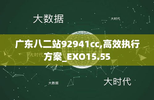 广东八二站92941cc,高效执行方案_EXO15.55