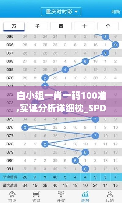 白小姐一肖一码100准,实证分析详细枕_SPD15.80