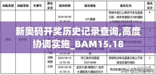 新奥码开奖历史记录查询,高度协调实施_BAM15.18