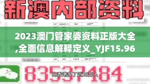 2023澳门管家婆资料正版大全,全面信息解释定义_YJF15.96