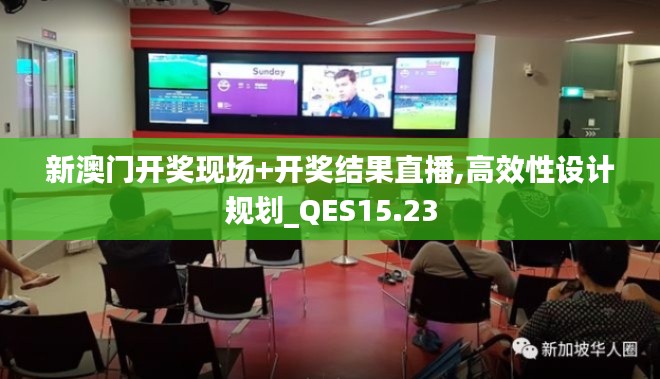 新澳门开奖现场+开奖结果直播,高效性设计规划_QES15.23