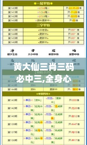 黄大仙三肖三码必中三,全身心解答具体_ORS15.96