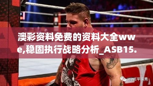 澳彩资料免费的资料大全wwe,稳固执行战略分析_ASB15.22