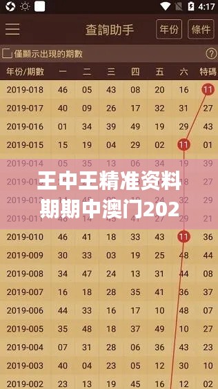 王中王精准资料期期中澳门2023,安全保障措施_VHB15.12