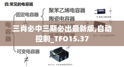 三肖必中三期必出最新版,自动控制_TFO15.37