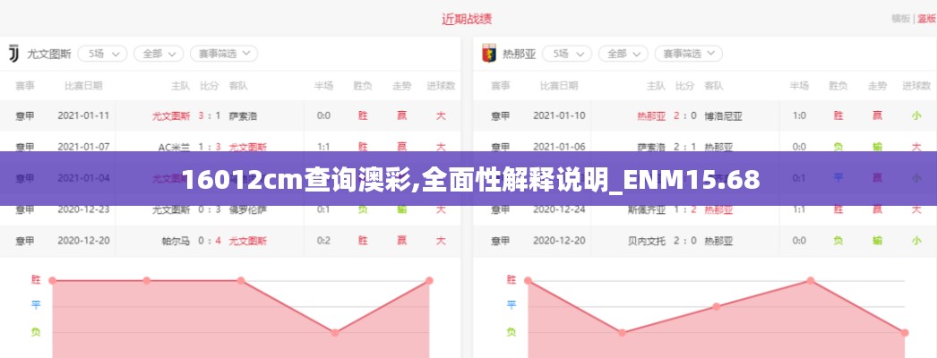 16012cm查询澳彩,全面性解释说明_ENM15.68