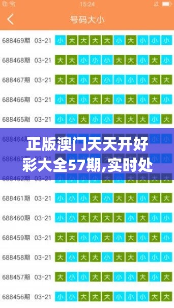 正版澳门天天开好彩大全57期,实时处理解答计划_DUC15.90