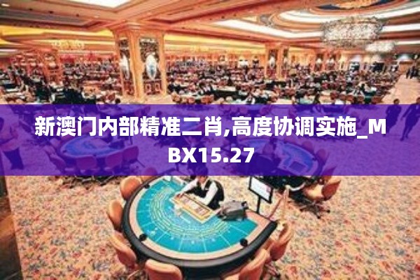 新澳门内部精准二肖,高度协调实施_MBX15.27