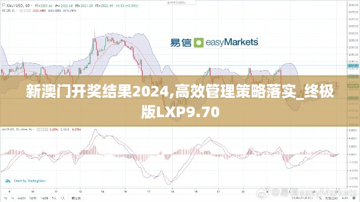 新澳门开奖结果2024,高效管理策略落实_终极版LXP9.70