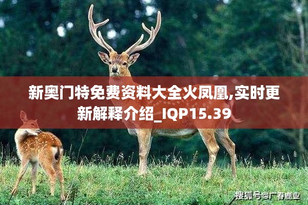 新奥门特免费资料大全火凤凰,实时更新解释介绍_IQP15.39