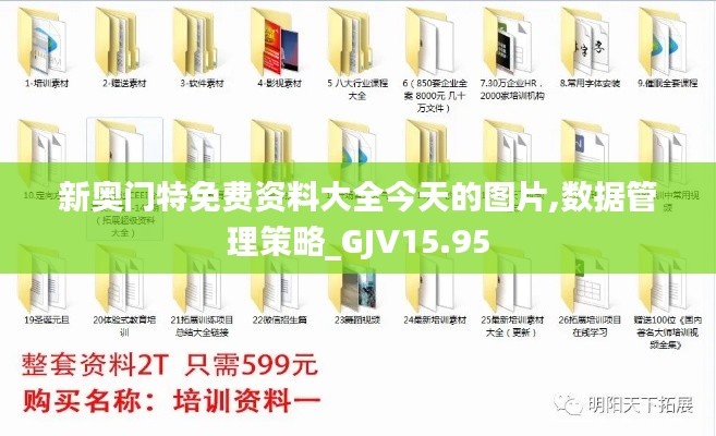 新奥门特免费资料大全今天的图片,数据管理策略_GJV15.95