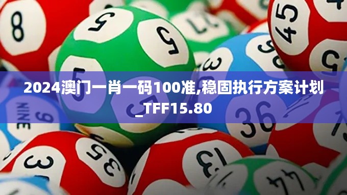 2024澳门一肖一码100准,稳固执行方案计划_TFF15.80