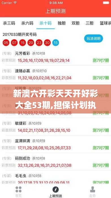 新澳六开彩天天开好彩大全53期,担保计划执行法策略_NKI15.17