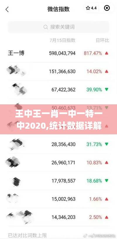 王中王一肖一中一特一中2020,统计数据详解说明_DRD15.59