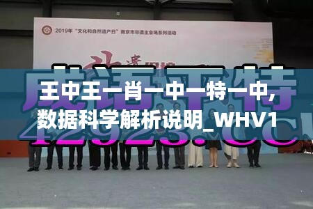 王中王一肖一中一特一中,数据科学解析说明_WHV15.29