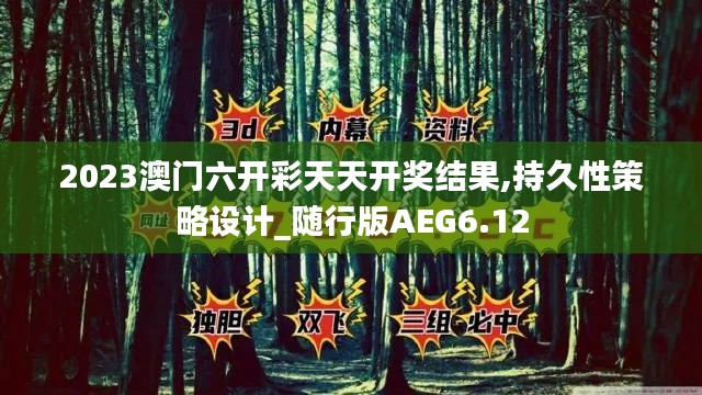 2023澳门六开彩天天开奖结果,持久性策略设计_随行版AEG6.12