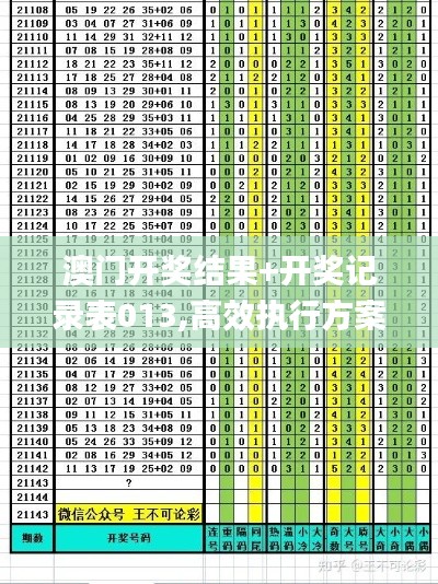 澳门开奖结果+开奖记录表013,高效执行方案_VVE15.23