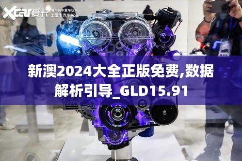 新澳2024大全正版免费,数据解析引导_GLD15.91