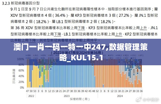 澳门一肖一码一特一中247,数据管理策略_KUL15.1