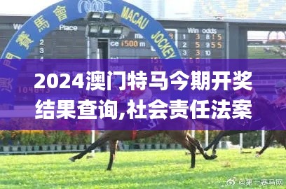 2024澳门特马今期开奖结果查询,社会责任法案实施_XUW15.35