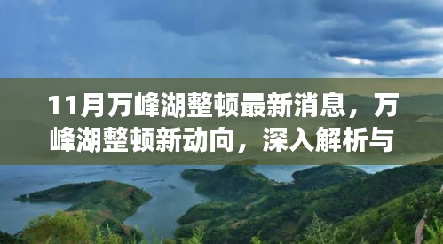 万峰湖整顿最新动态，深入解析与观点阐述