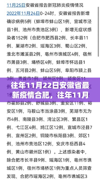 往年11月22日安徽省合肥疫情概况及防控解读