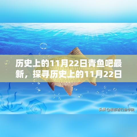 探寻历史上的11月22日，青鱼吧最新指南揭秘历史新知与深度解读