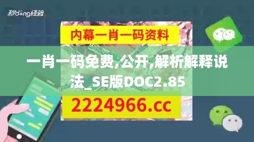 一肖一码免费,公开,解析解释说法_SE版DOC2.85