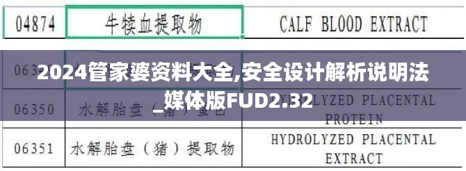 2024管家婆资料大全,安全设计解析说明法_媒体版FUD2.32