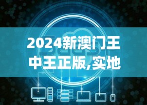 2024新澳门王中王正版,实地观察数据设计_旅行者特别版QJC2.35