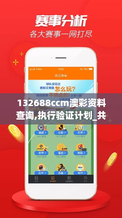 132688ccm澳彩资料查询,执行验证计划_共享版ONQ2.95