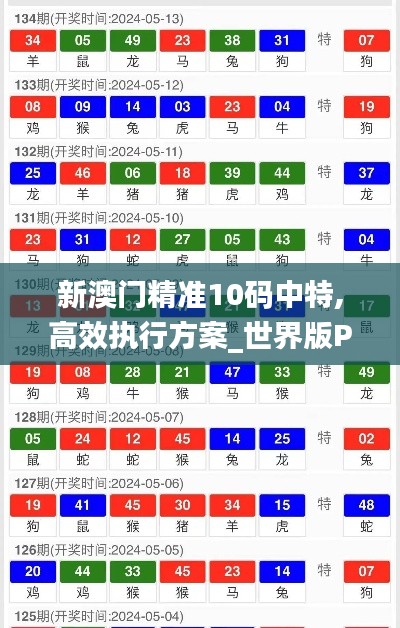 新澳门精准10码中特,高效执行方案_世界版PPR2.80