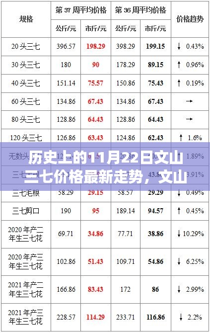 文山三七价格走势揭秘，科技引领市场新纪元探索的11月最新动态