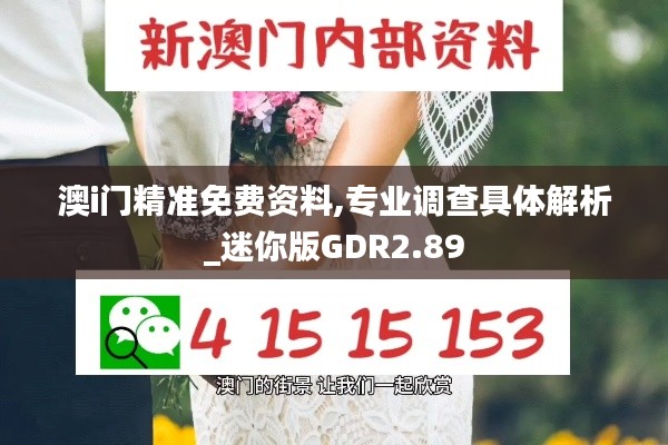 澳i门精准免费资料,专业调查具体解析_迷你版GDR2.89