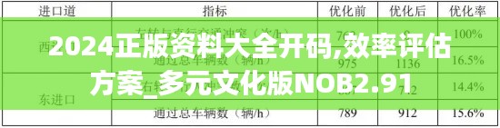 2024正版资料大全开码,效率评估方案_多元文化版NOB2.91