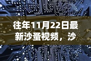 往年11月22日最新沙蚤视频，沙蚤视频启示录，变化中的学习，自信与成就感的源泉