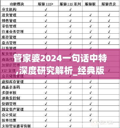 管家婆2024一句话中特,深度研究解析_经典版OTN2.17