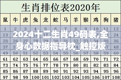 2024十二生肖49码表,全身心数据指导枕_触控版THV2.23