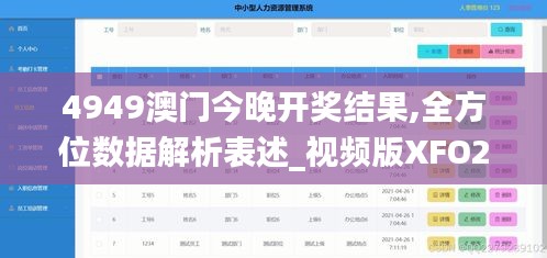 4949澳门今晚开奖结果,全方位数据解析表述_视频版XFO2.12