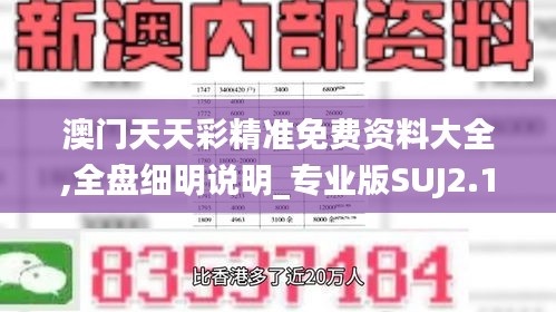 澳门天天彩精准免费资料大全,全盘细明说明_专业版SUJ2.13