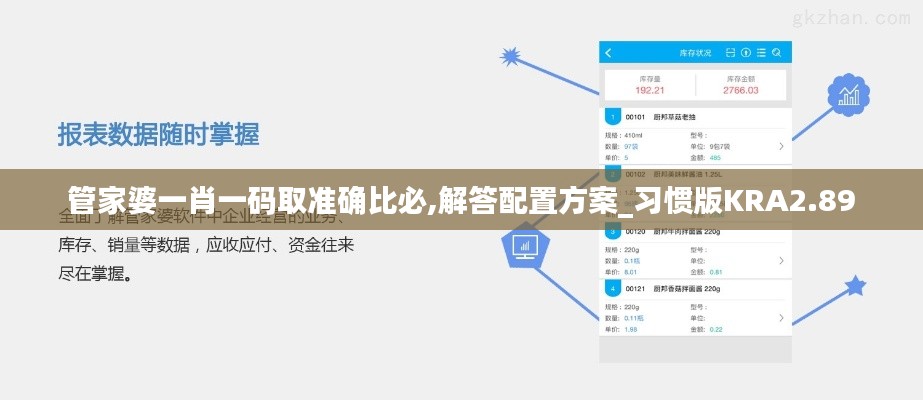 管家婆一肖一码取准确比必,解答配置方案_习惯版KRA2.89