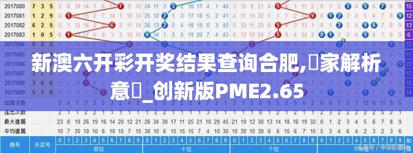 新澳六开彩开奖结果查询合肥,專家解析意見_创新版PME2.65