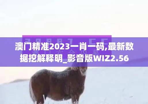 澳门精准2023一肖一码,最新数据挖解释明_影音版WIZ2.56