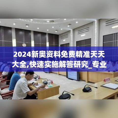 2024新奥资料免费精准天天大全,快速实施解答研究_专业版LER2.4