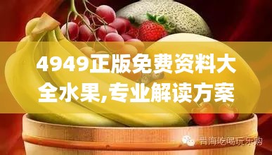 4949正版免费资料大全水果,专业解读方案实施_互动版YDF2.97