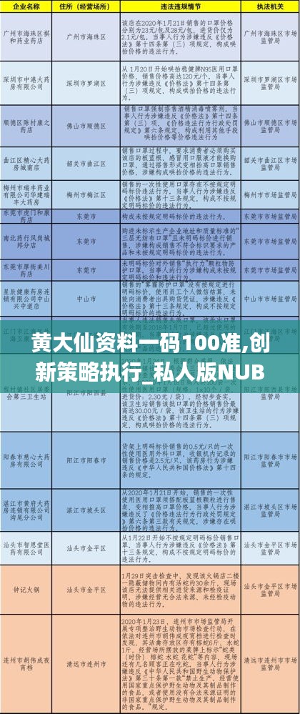 黄大仙资料一码100准,创新策略执行_私人版NUB2.10