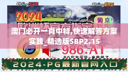 澳门必开一肖中特,快速解答方案实践_精选版SBP2.15