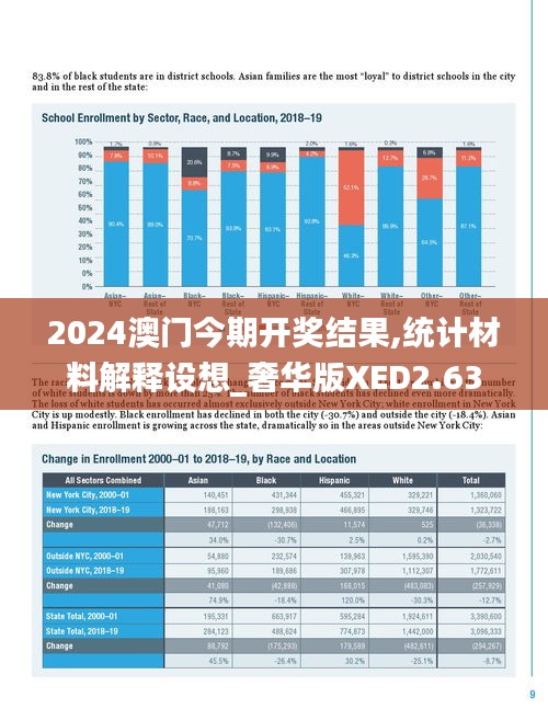 2024澳门今期开奖结果,统计材料解释设想_奢华版XED2.63