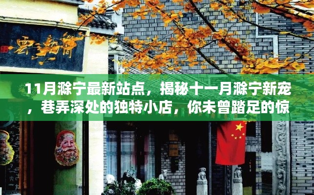 揭秘十一月滁宁新宠，巷弄深处的独特小店，惊喜之地大揭秘