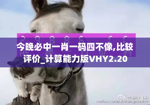 今晚必中一肖一码四不像,比较评价_计算能力版VHY2.20